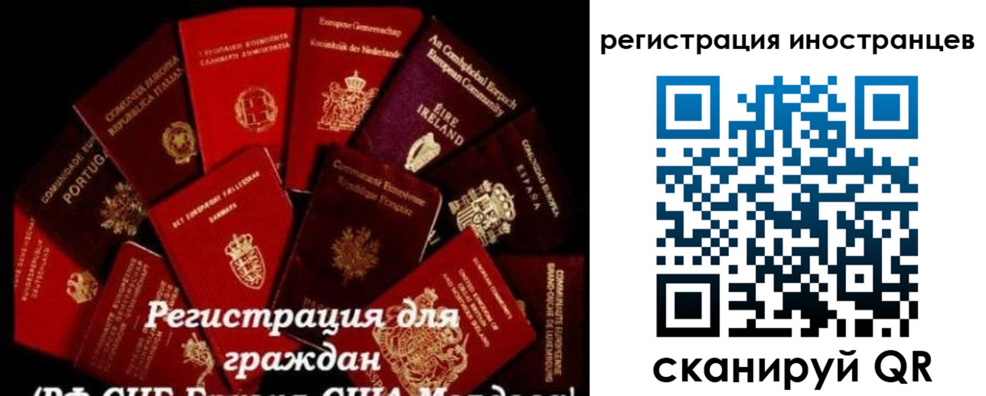 прописка иностранных граждан в Звенигороде